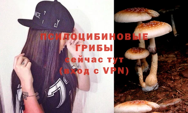 дживик Аркадак