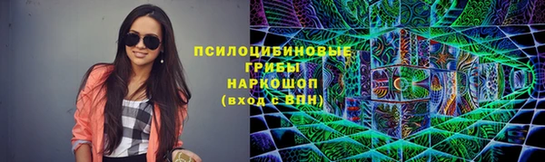 дживик Аркадак