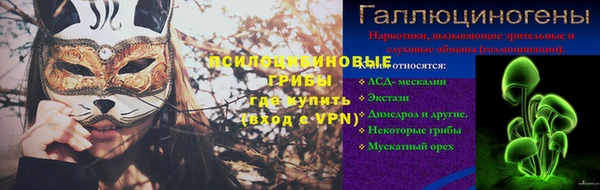 дживик Аркадак